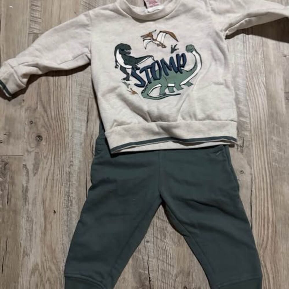 Toddler Dinosaur Sweatshirt and Jogger Set